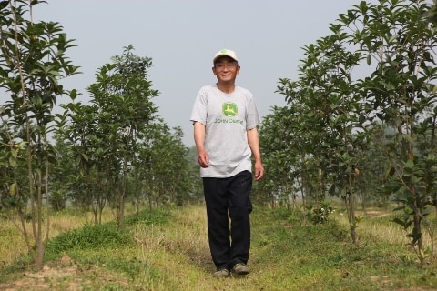 许少余还种植了几亩地的桂花树苗，现在已有一人多高，将来也是一笔不菲的收入。